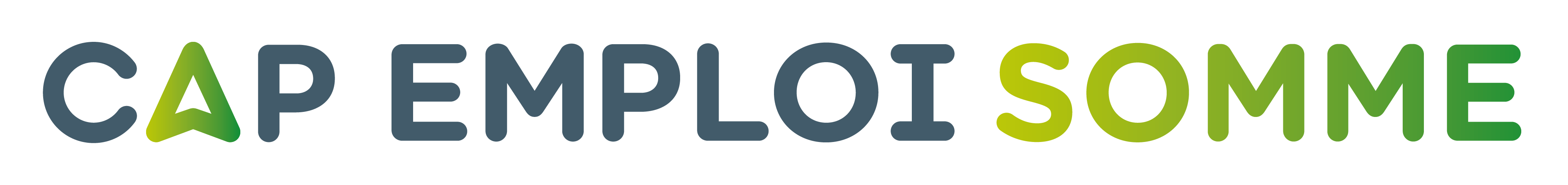 logo CapEmploi